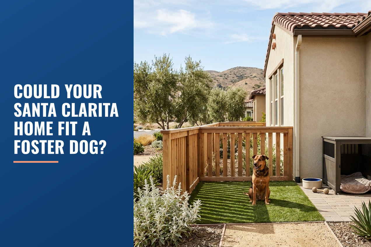 A dog sits in a fenced side yard with artificial grass, a dog crate, and a bowl against a stucco house in a Santa Clarita foothills landscape.